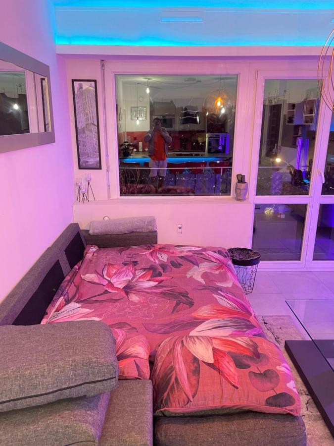 Guest Room "We Are With You In This Flat" 斯特拉斯堡 外观 照片