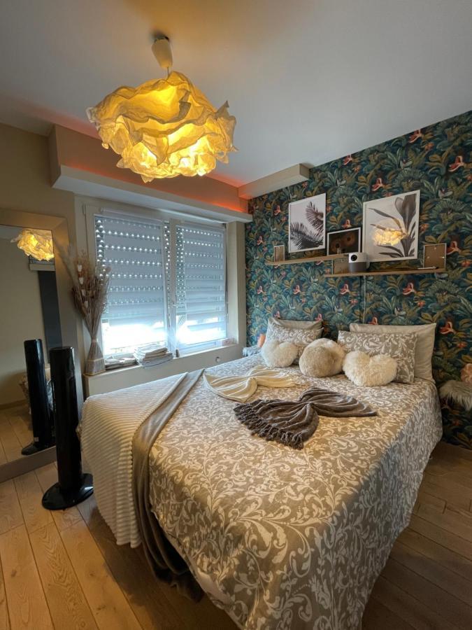 Guest Room "We Are With You In This Flat" 斯特拉斯堡 外观 照片